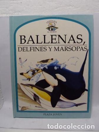 Libros: BALLENAS, DELFINES Y MARIPOSAS - Mark Carwardine - Foto 1