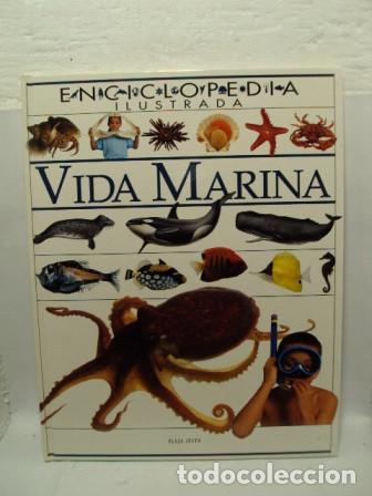 Libros: VIDA MARINA - Varios Autores - Foto 1
