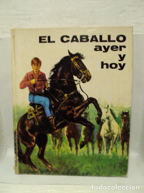 Libros: EL CABALLO AYER Y HOY - Jose Manuel De La Prada - Foto 1