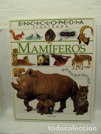 Libros: MAM&Iacute;FEROS - Varios Autores - Foto 1