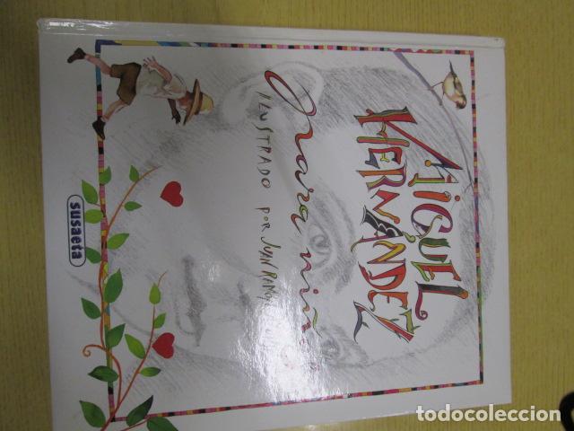 Libros: MIGUEL HERN&Aacute;NDEZ PARA NI&Ntilde;OS. Ilustrado por Juan Ram&oacute;n Alonso. - Varios Autores