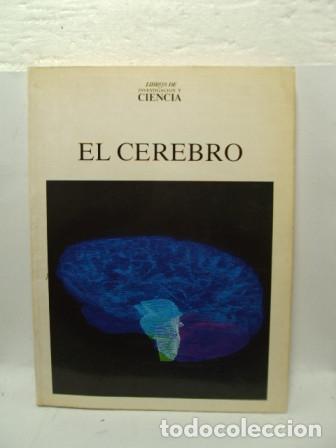 Libros: EL CEREBRO - Varios Autores - Foto 1