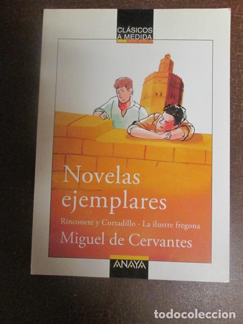 Libros: NOVELAS EJEMPLARES - Miguel De Cervantes