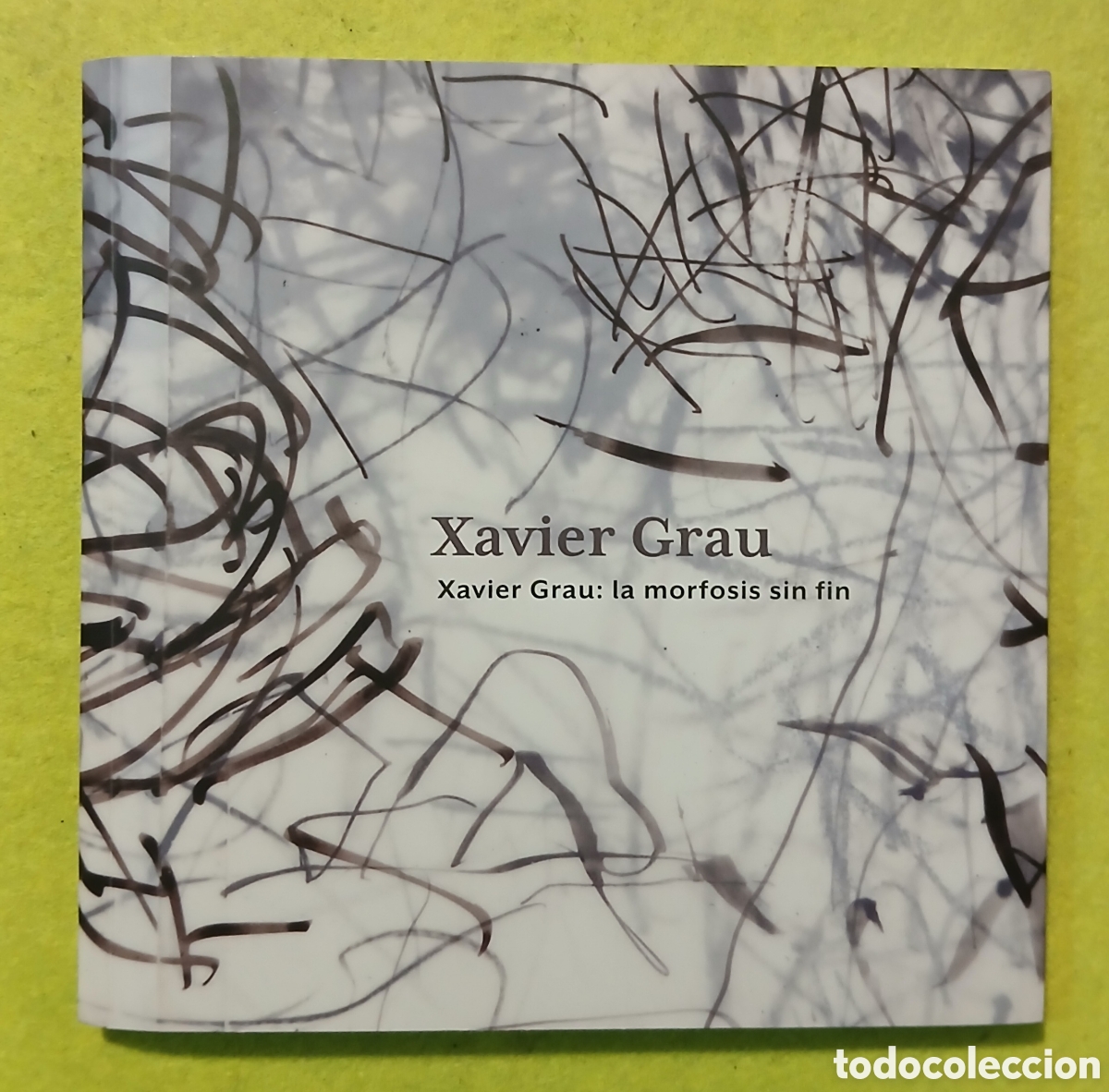 Libros: Xavier Grau, la morfosis sin fin - Foto 2