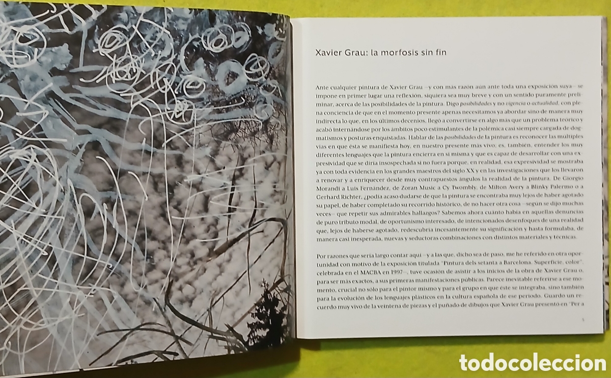 Libros: Xavier Grau, la morfosis sin fin - Foto 3