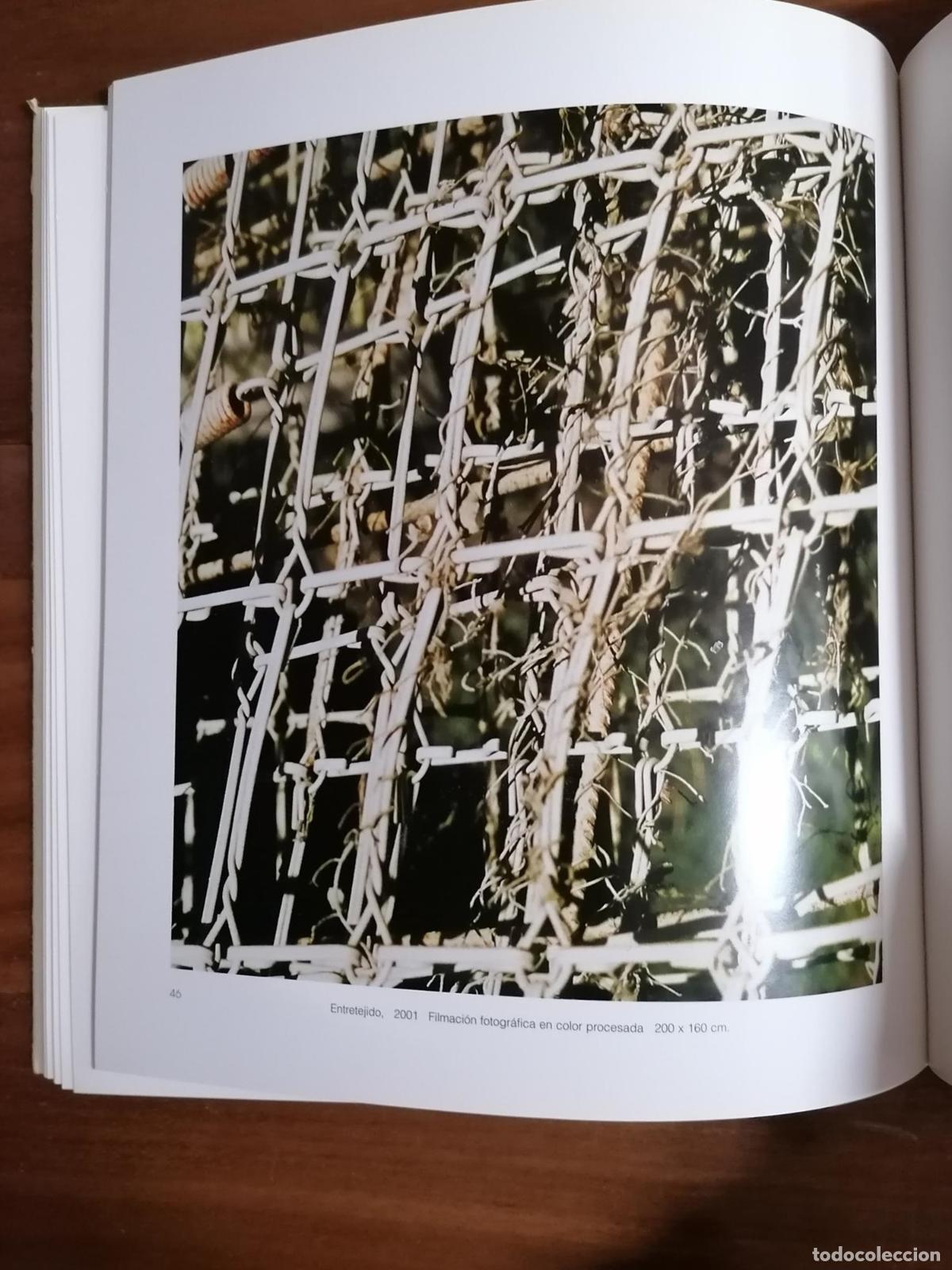 Libros: DAR&Iacute;O VILLALBA. Cat&aacute;logo. Enero 2002 - Foto 3
