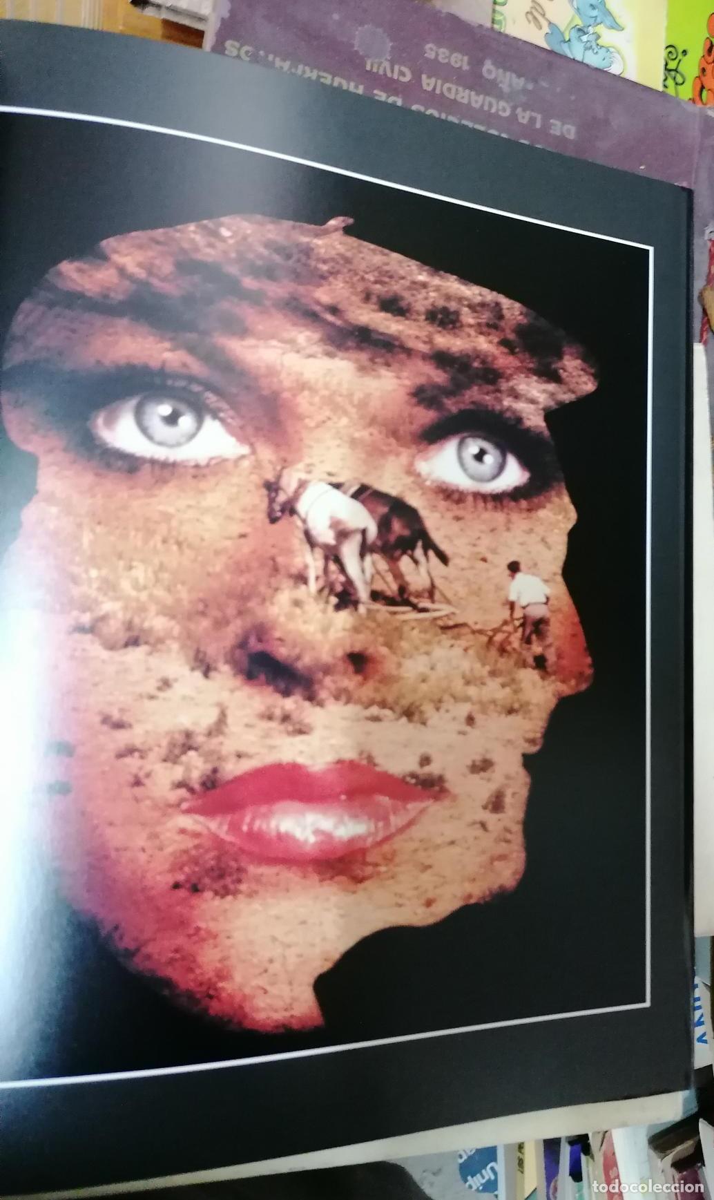 Libros: Eugeni Forcano - A LA SOMBRA SEDUCTORA DE JOSEP PLA - Foto 2