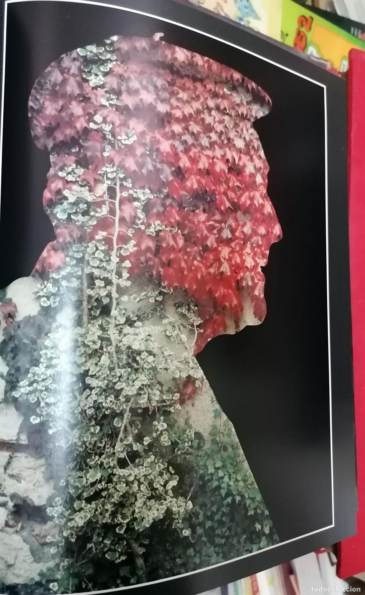 Libros: Eugeni Forcano - A LA SOMBRA SEDUCTORA DE JOSEP PLA - Foto 3
