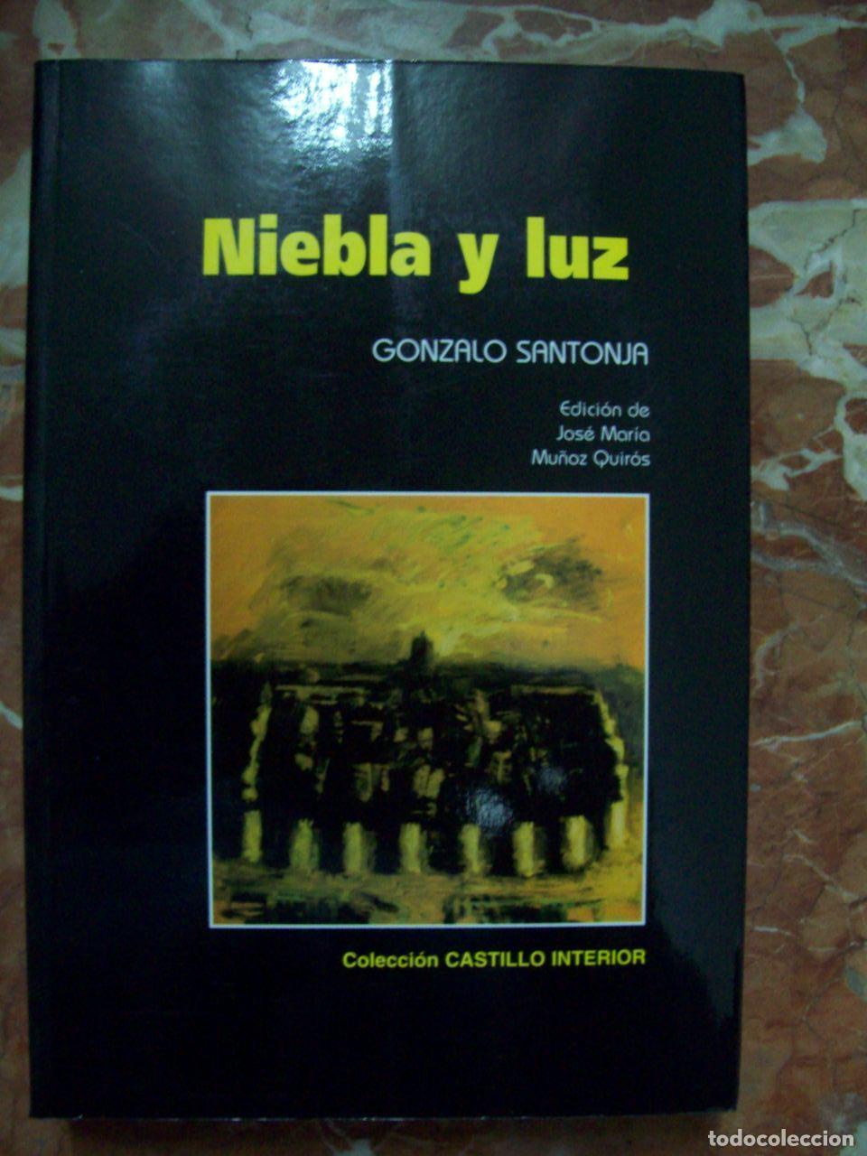 Libri di seconda mano: Santonja, Gonzalo - NIEBLA Y LUZ (ANTOLOG&Iacute;A)