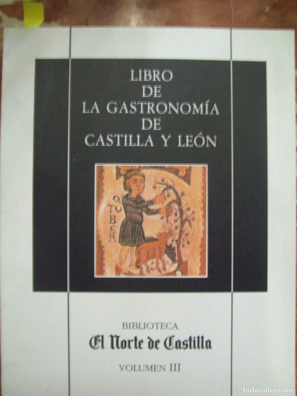 Libros: VV.AA. - LIBRO DE LA GASTRONOM&Iacute;A DE CASTILLA Y LE&Oacute;N - Foto 1
