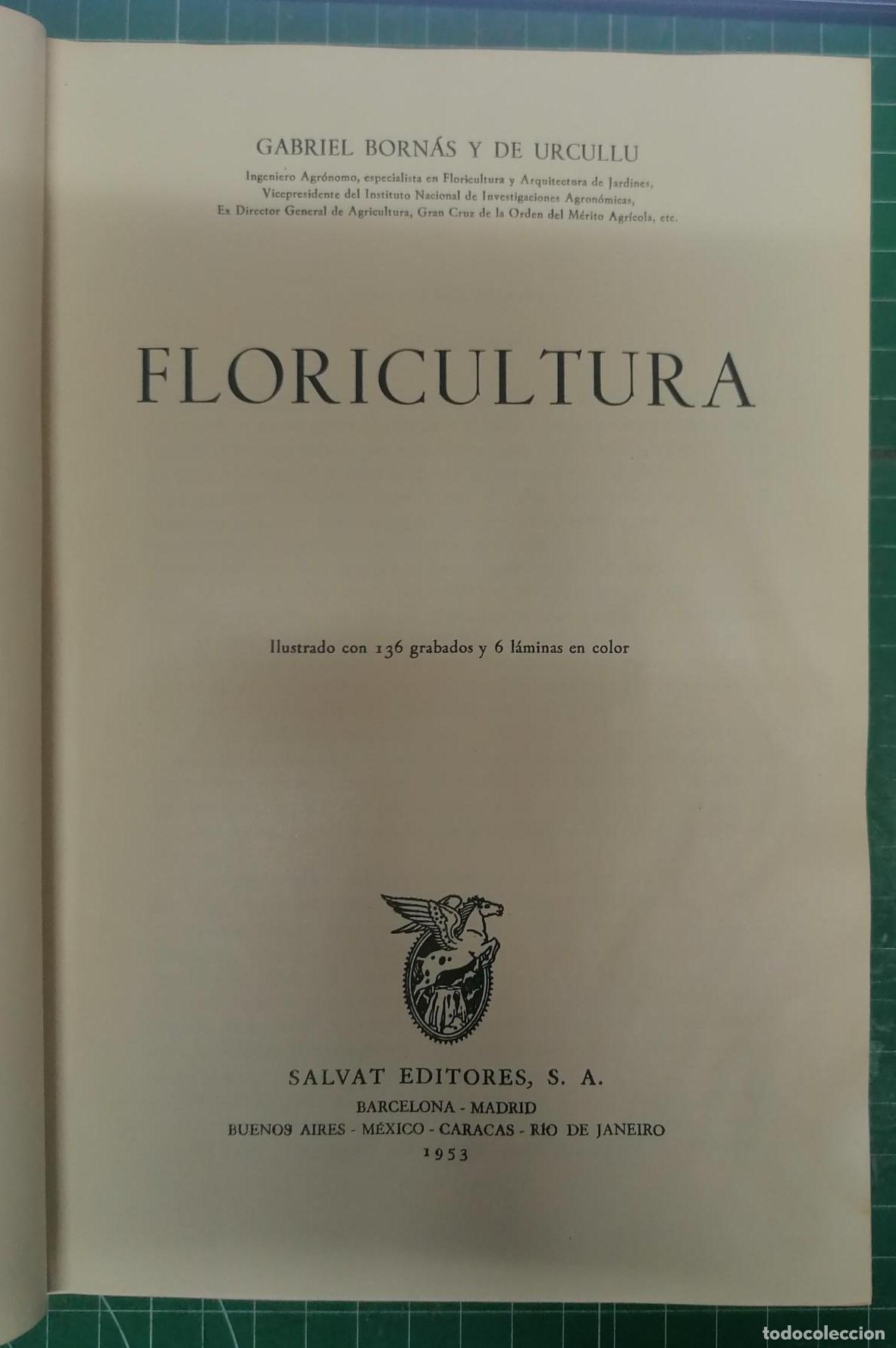 Libros: Born&aacute;s y de Urcullu, Gabriel - FLORICULTURA - Foto 1