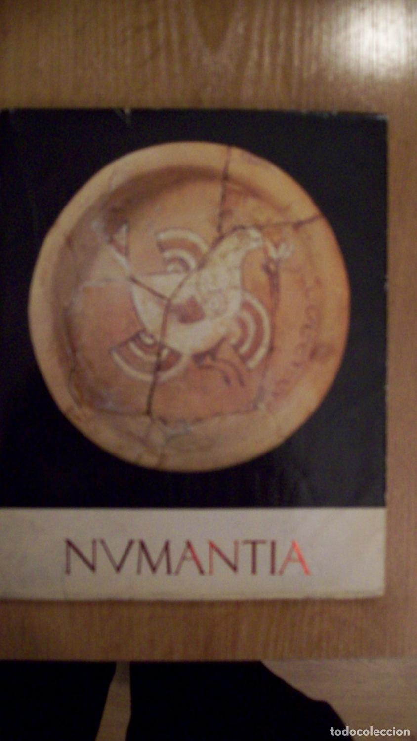 Libros: Garc&iacute;a y Bellido, Antonio - NUMANTIA - Foto 1