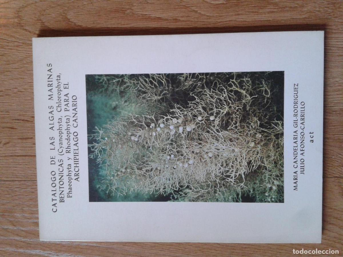 Libri di seconda mano: Gil-Rodr&iacute;guez, Mar&iacute;a Candelaria y Julio Afonso-Carrillo - CAT&Aacute;LOGO DE LAS ALGAS MARINAS BENT&Oacute;NICAS (