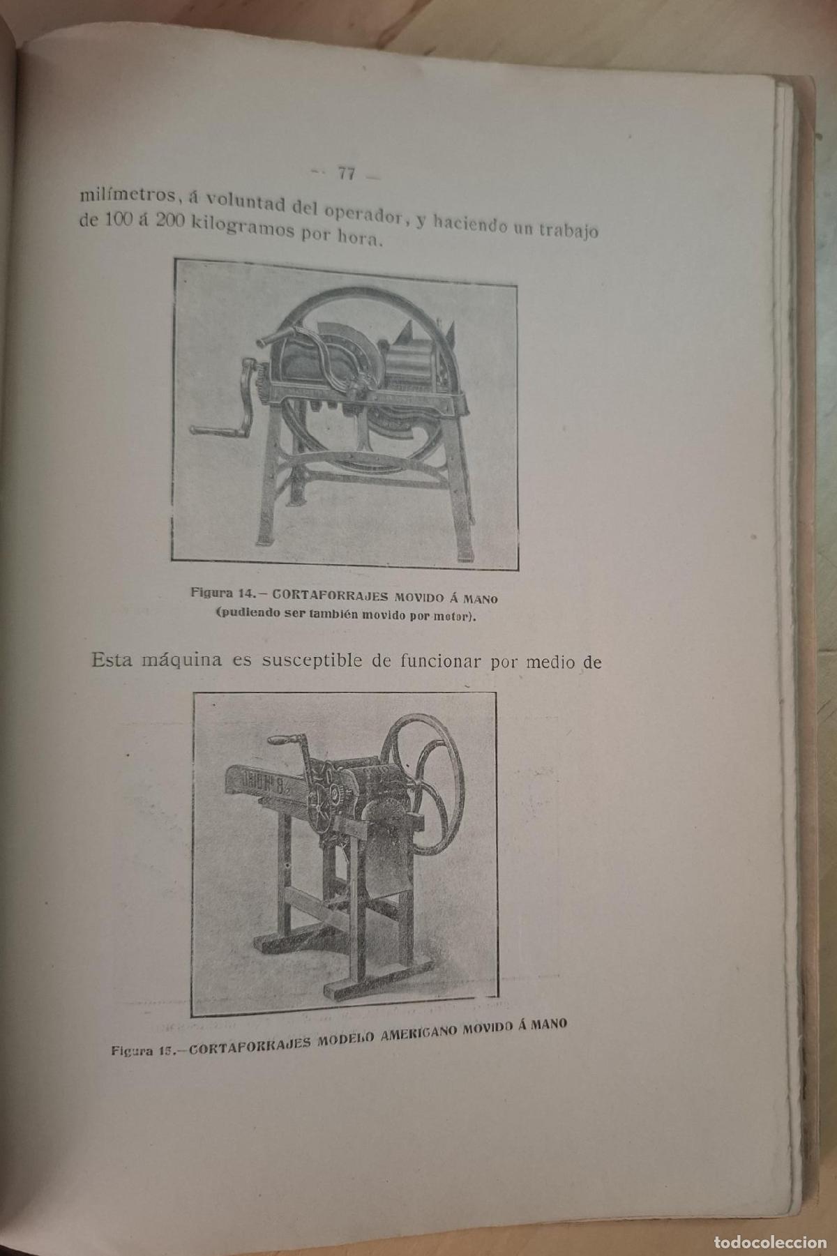 Libros: Caama&ntilde;o, Francisco - ENSILAJE MODERNO - Foto 3