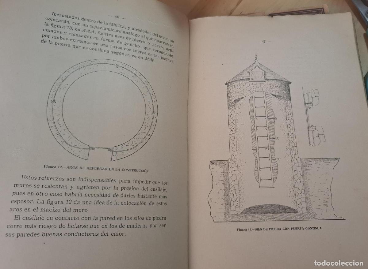 Libros: Caama&ntilde;o, Francisco - ENSILAJE MODERNO - Foto 4