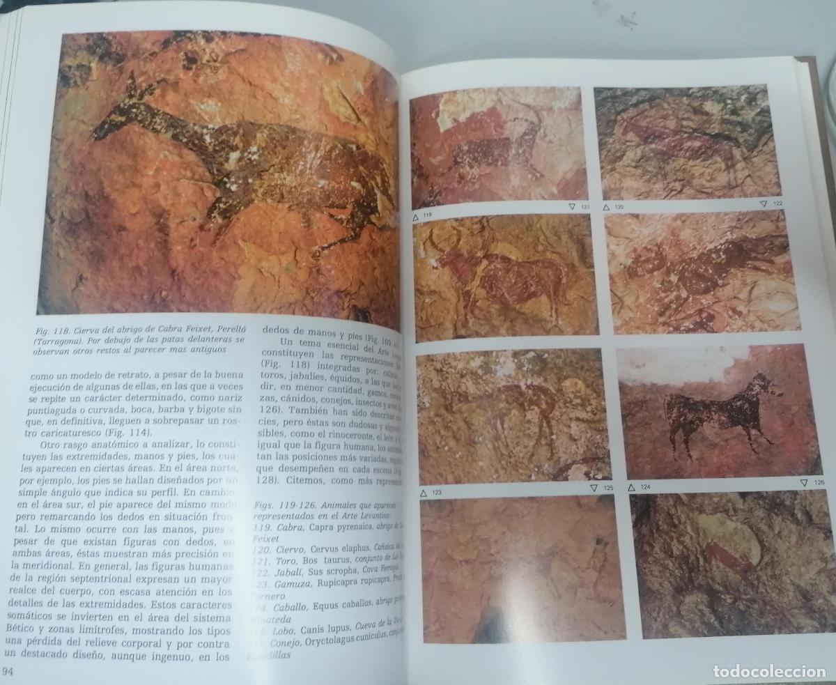 Libros: Vi&ntilde;as, Ram&oacute;n y otros - LA VALLTORTA - Foto 3