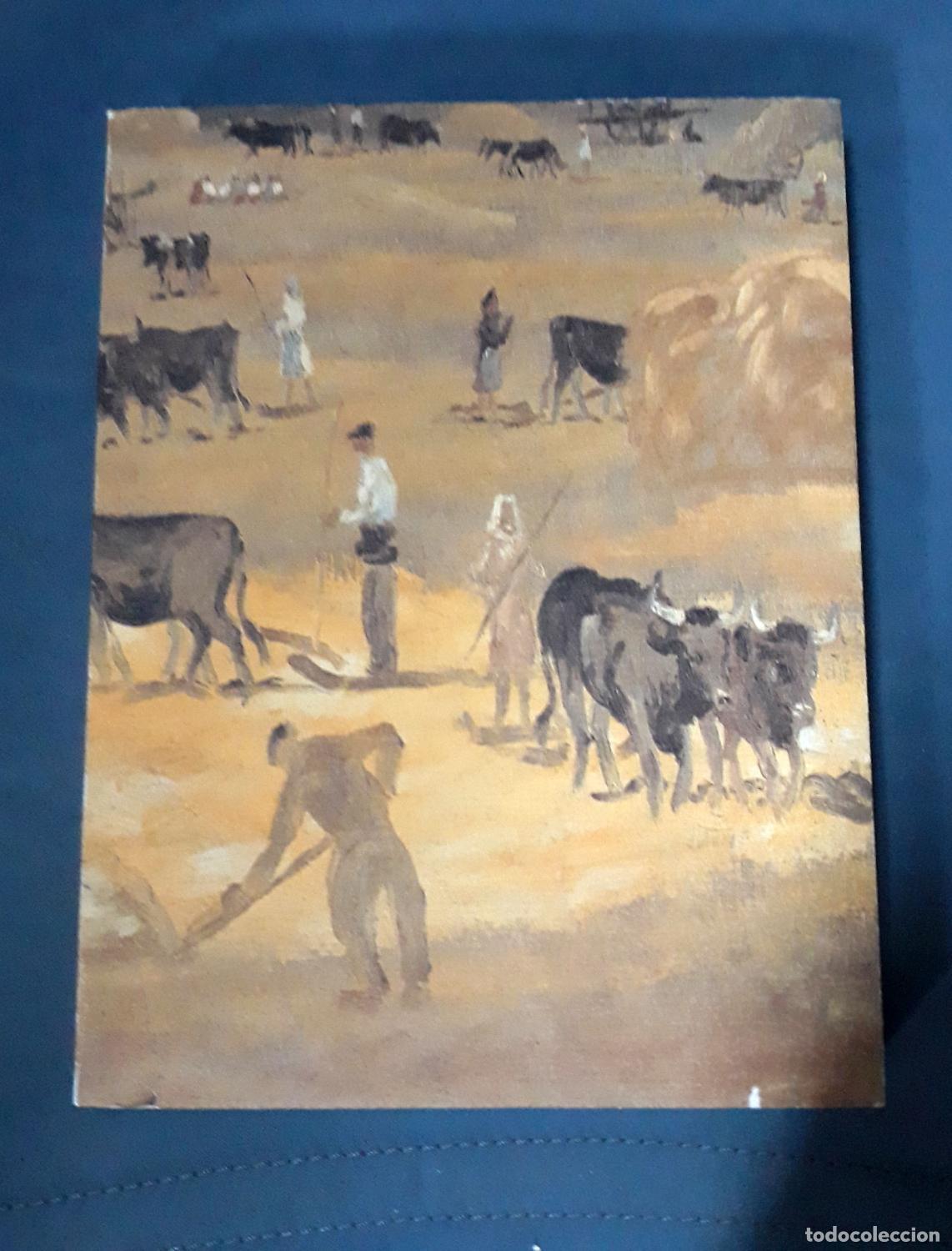 Libros: vvaa - Francisco San Jos&eacute;. 1919-1981 Cat&aacute;logo - Foto 1