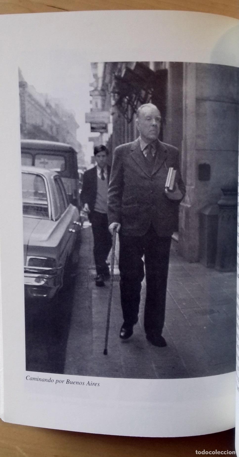 Libros: Roberto Alifano - EL HUMOR DE BORGES - Foto 4
