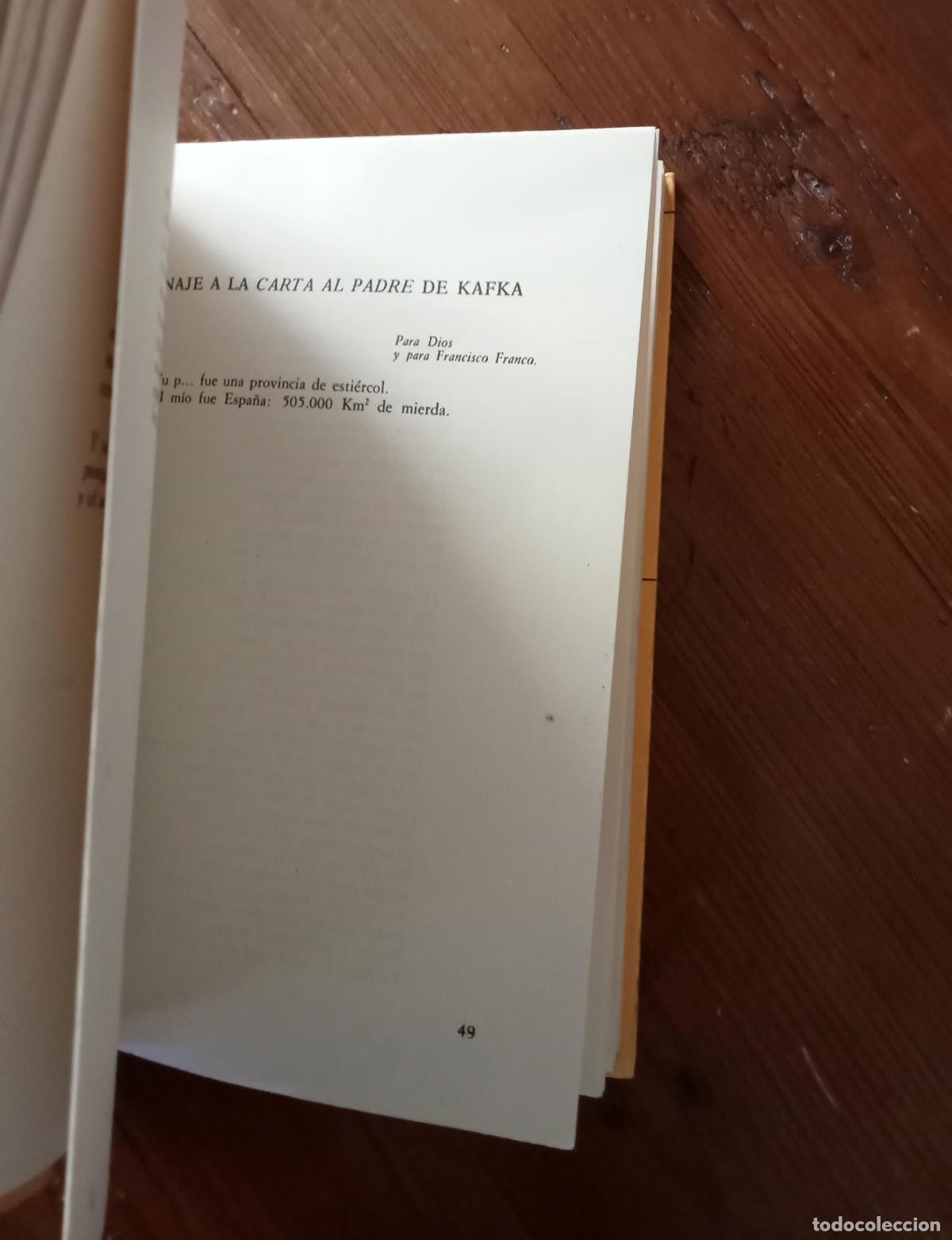 Libros: Ram&oacute;n Irigoyen - CIELOS E INVIERNOS - Foto 2
