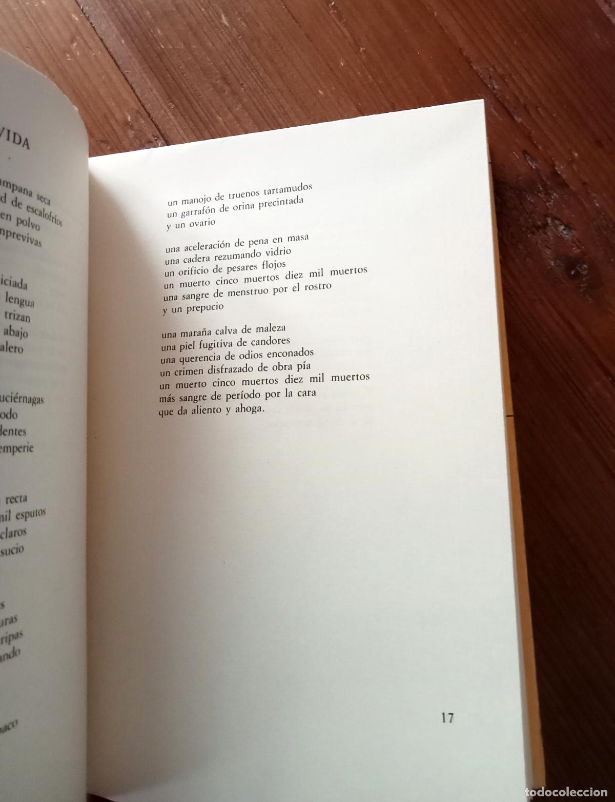 Libros: Ram&oacute;n Irigoyen - CIELOS E INVIERNOS - Foto 3