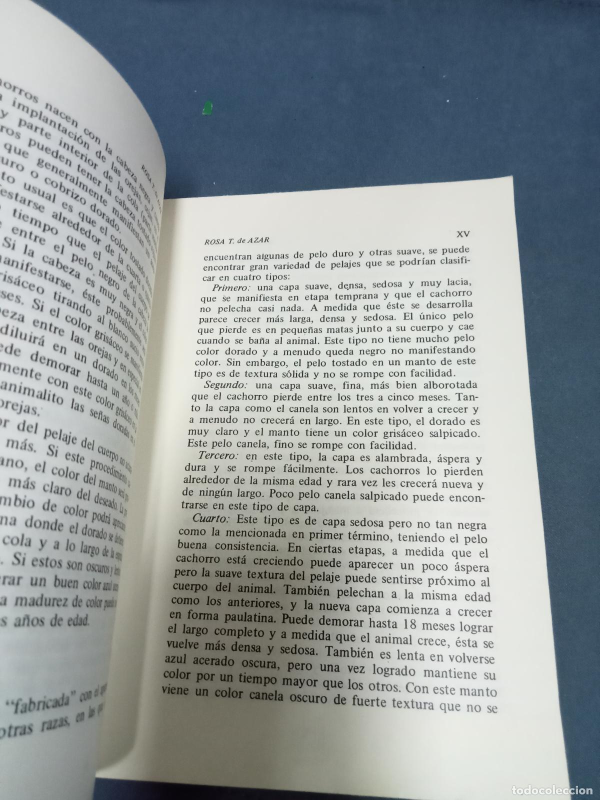 Libros: Rosa Taragano de Azar - EL YORKSHIRE TERRIER - Foto 3