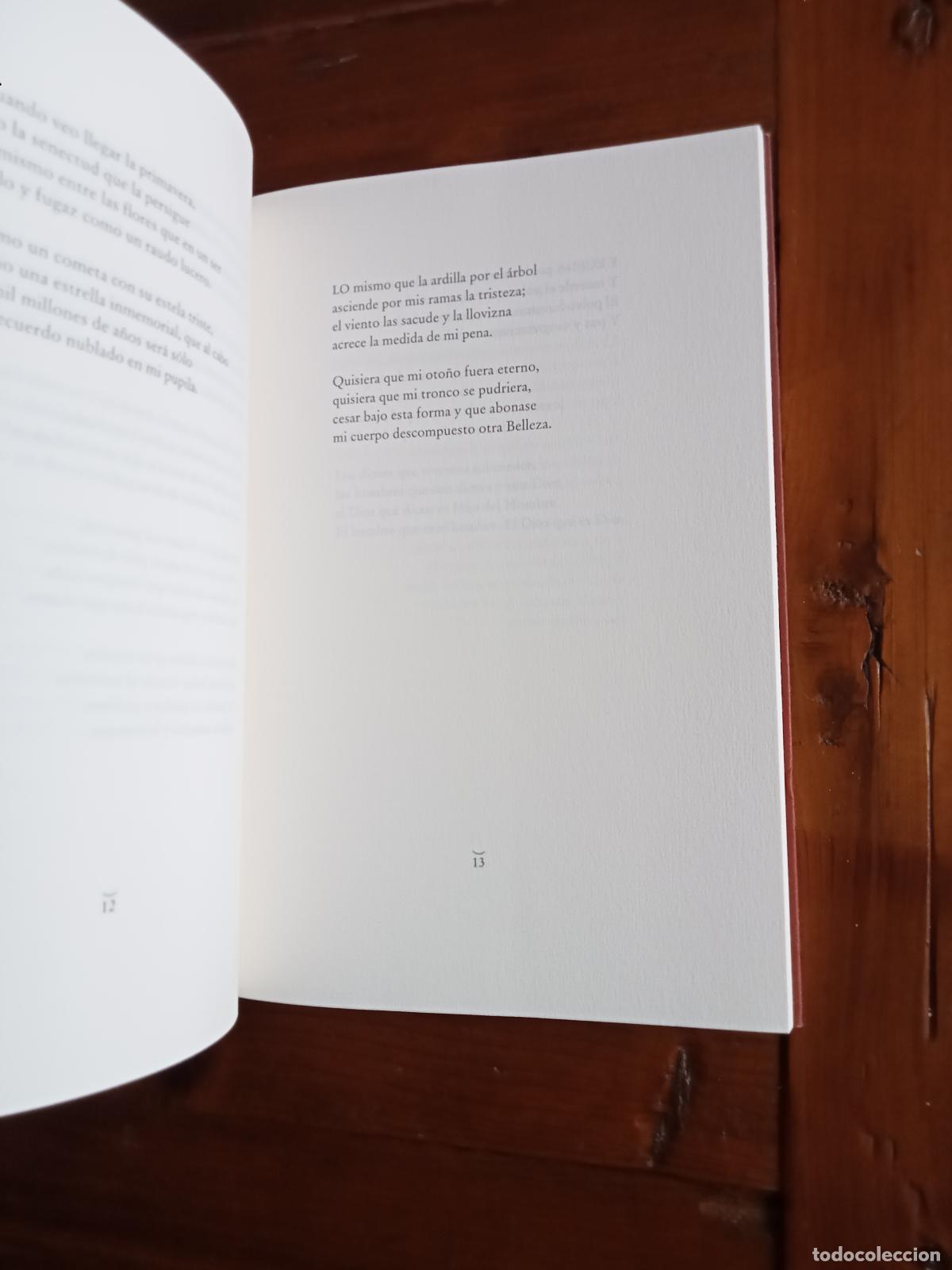 Libros: Antonio Rivero Taravillo - EL ARBOL DE LA VIDA - Foto 3
