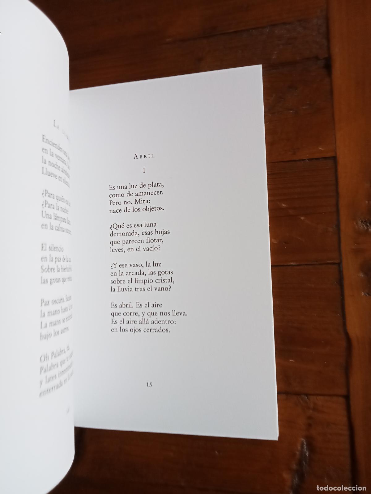 Libros: Sanchez Robayna, Andres - INSCRIPCIONES - Foto 3