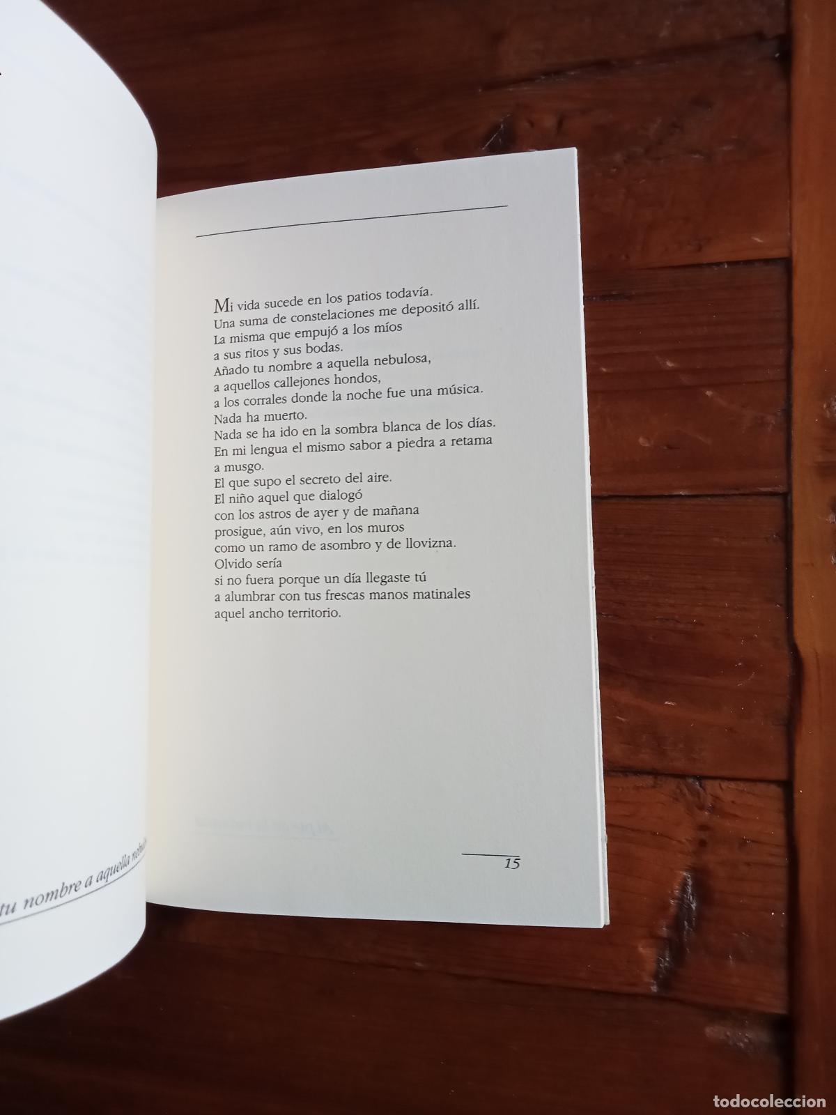 Libros: Rafael Adolfo T&eacute;llez - LA ROSA DEL MUNDO - Foto 2