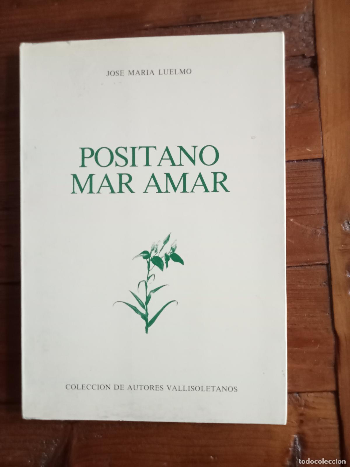 Livros em segunda m&atilde;o: Jos&eacute; Mar&iacute;a Luelmo - POSITANO MAR AMAR