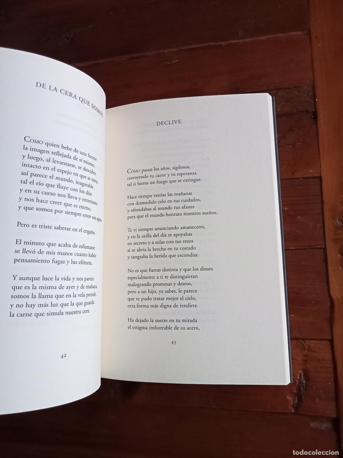 Libros: Gin&eacute;s Aniorte - LOS AZARES - Foto 3