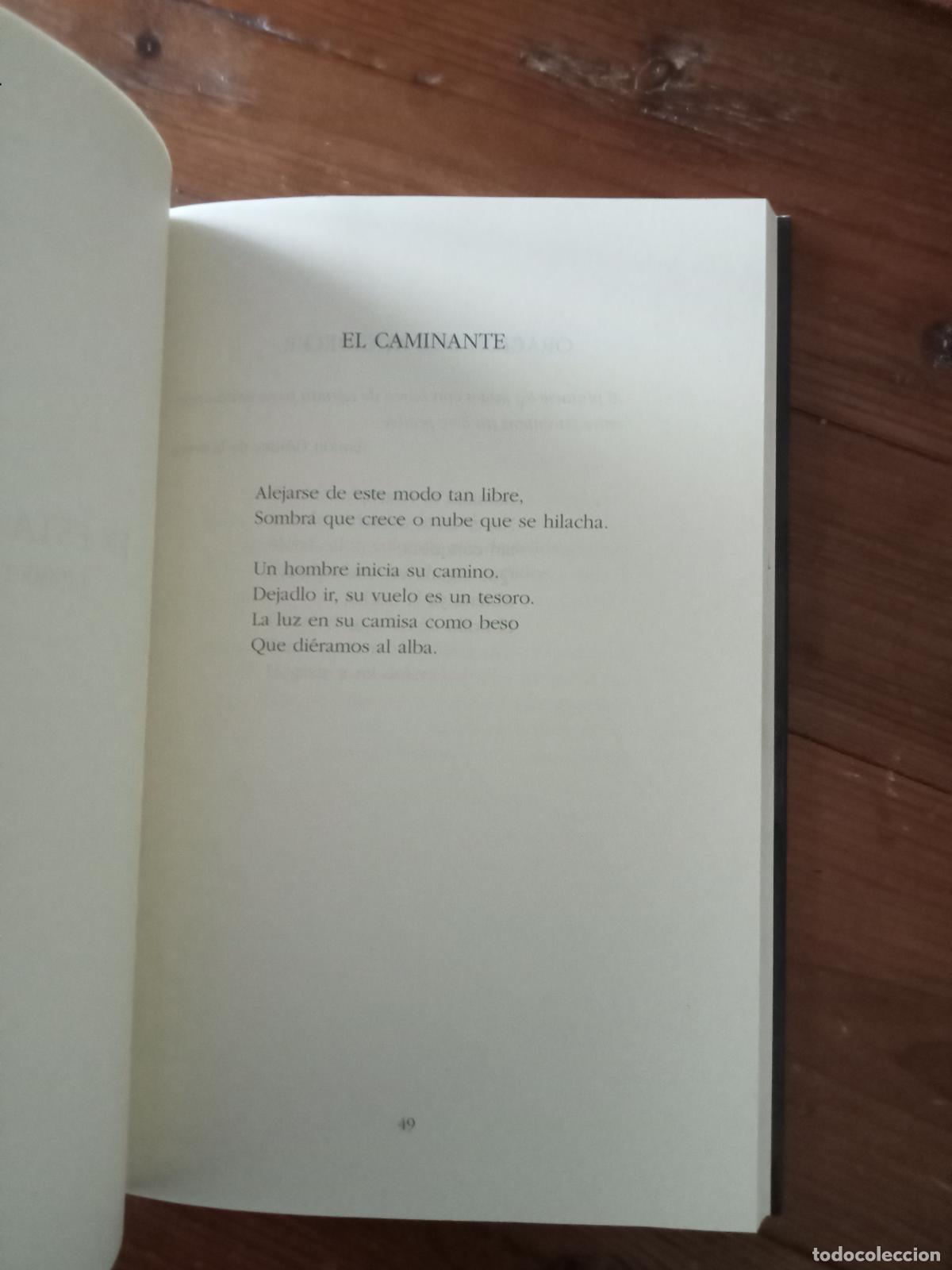 Libros: Jose Mendez - LA MIRADA - Foto 2