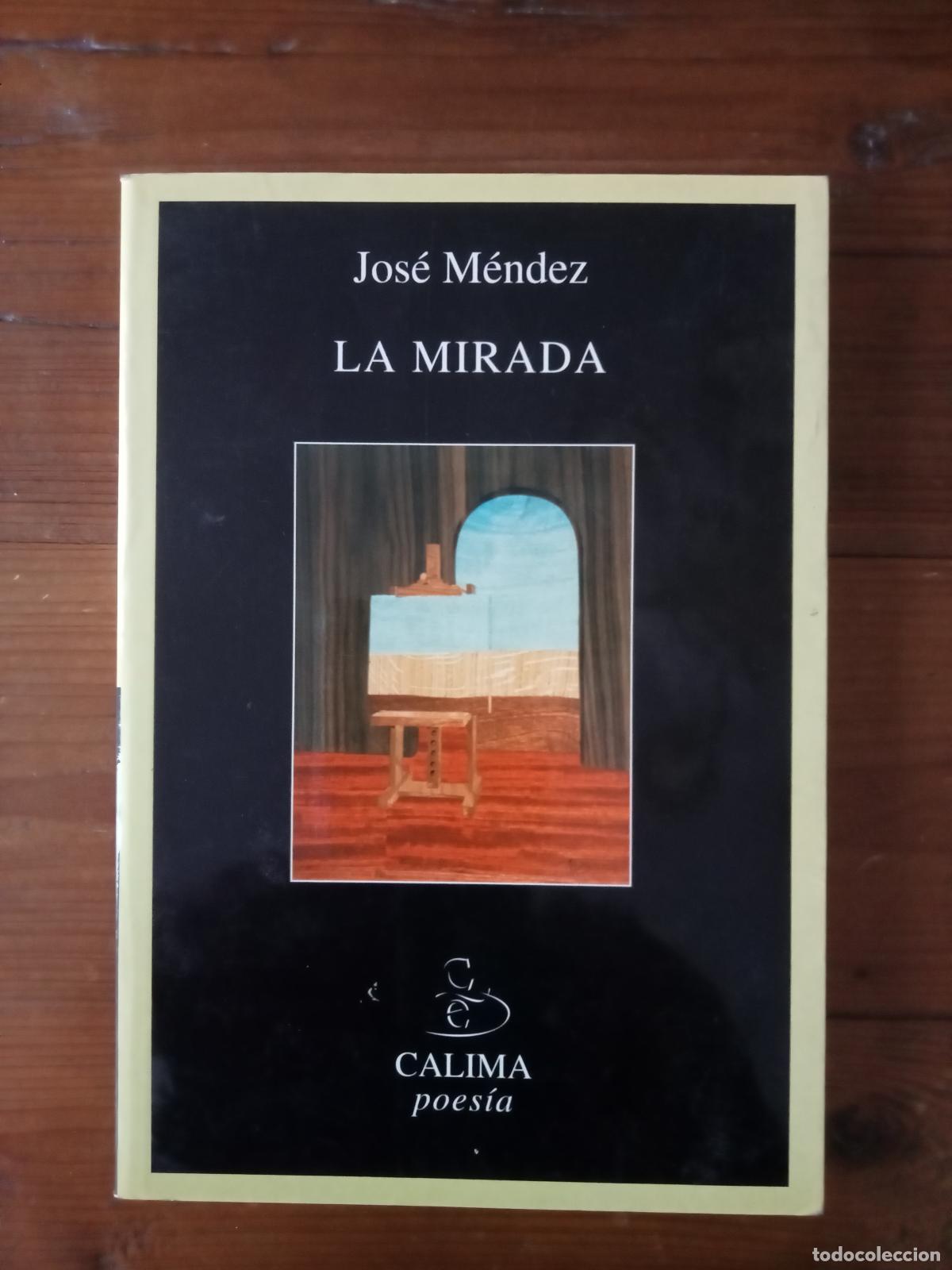 Libros: Jose Mendez - LA MIRADA - Foto 1