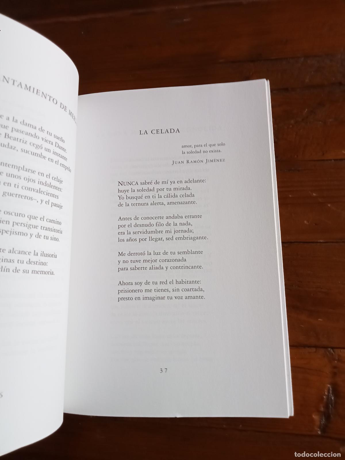 Libros: Guti&eacute;rrez Rodr&iacute;guez, Jos&eacute; - LA TEMPESTAD SERENA - Foto 2