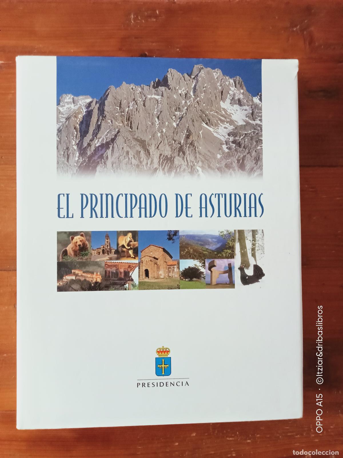 Libros: EL PRINCIPADO DE ASTURIAS - Foto 1