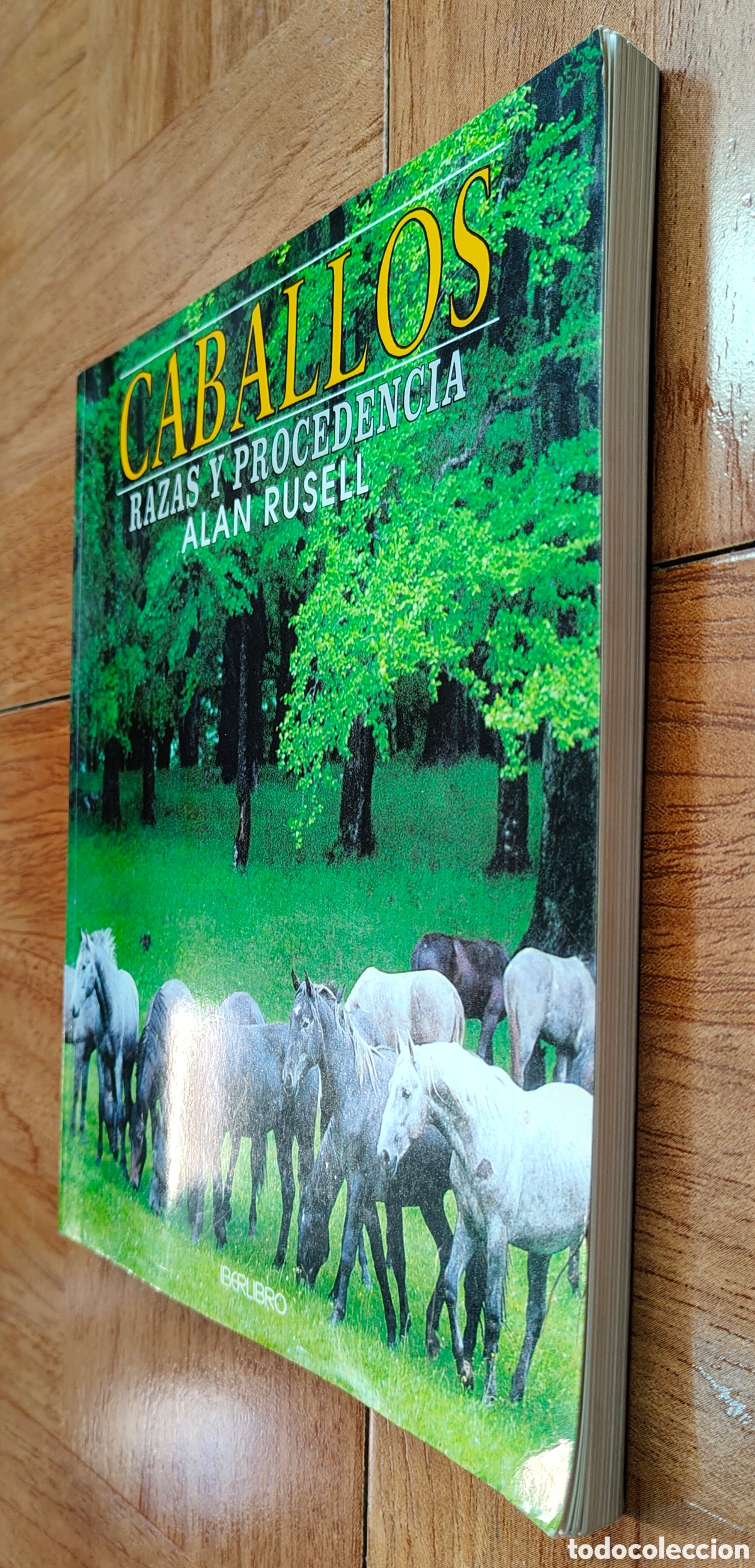 Libros: Caballos: Razas y precedencias - Alan Rusell - Foto 2