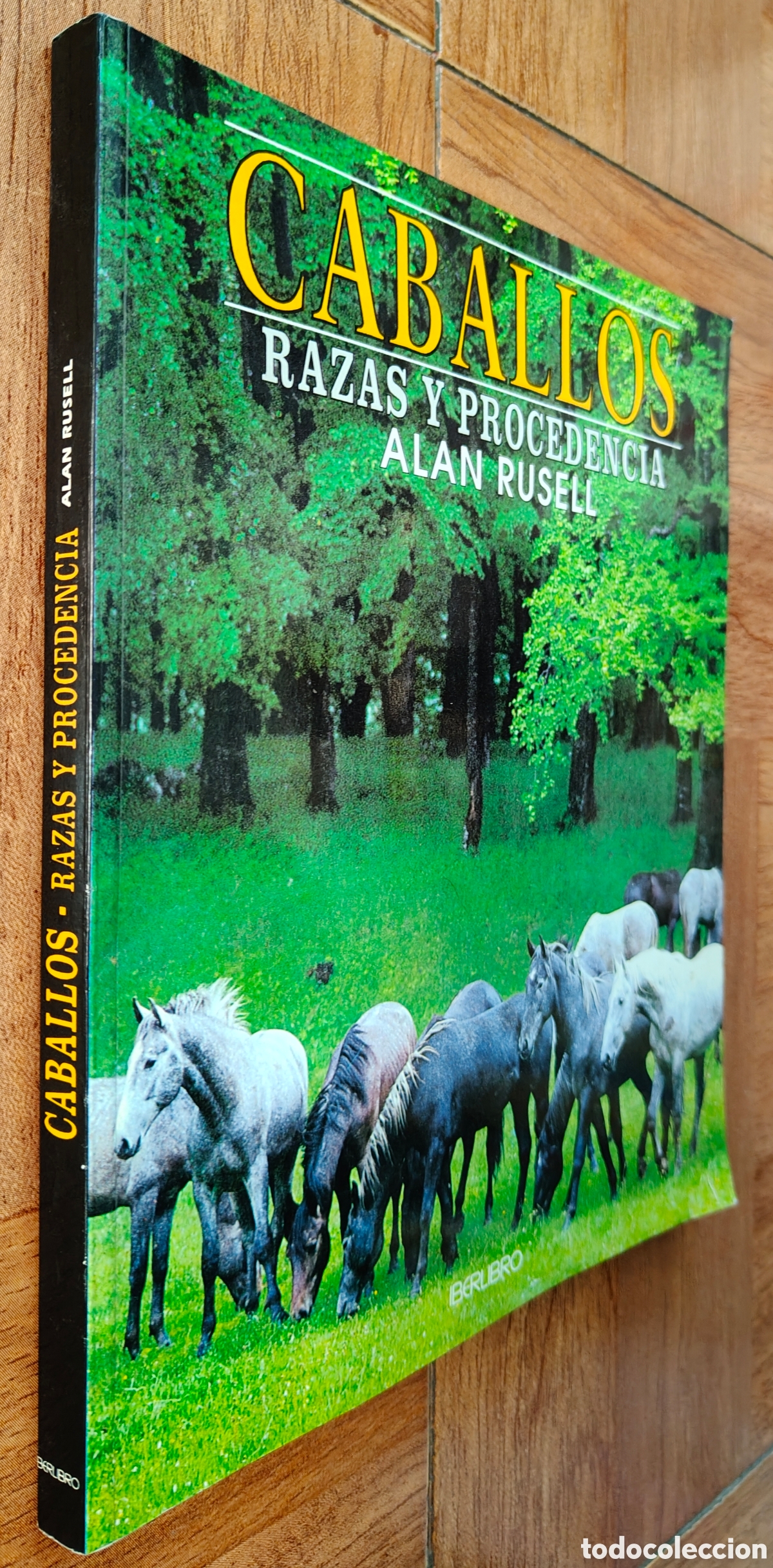 Libros: Caballos: Razas y precedencias - Alan Rusell - Foto 1