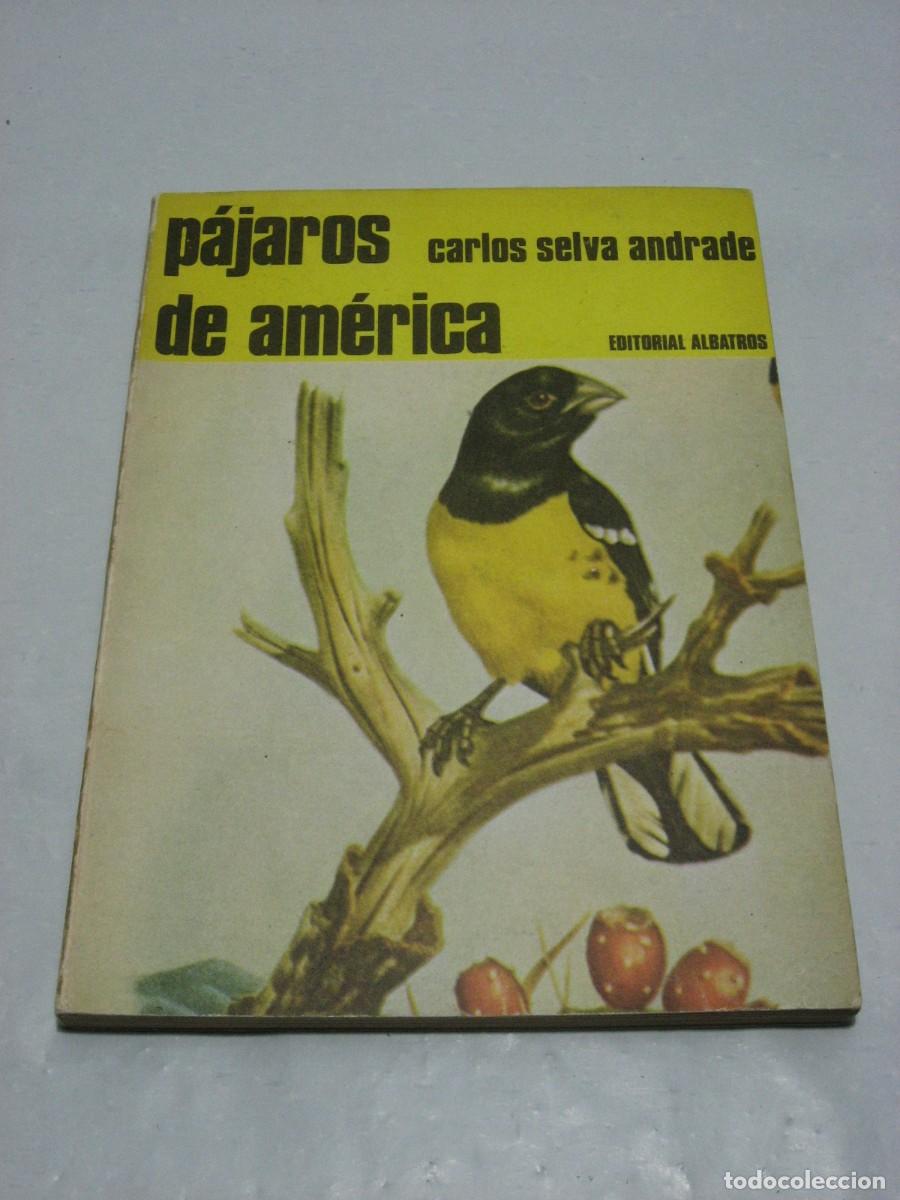 Libros: P&Aacute;JAROS DE AM&Eacute;RICA - Carlos Selva Andrade - Foto 1