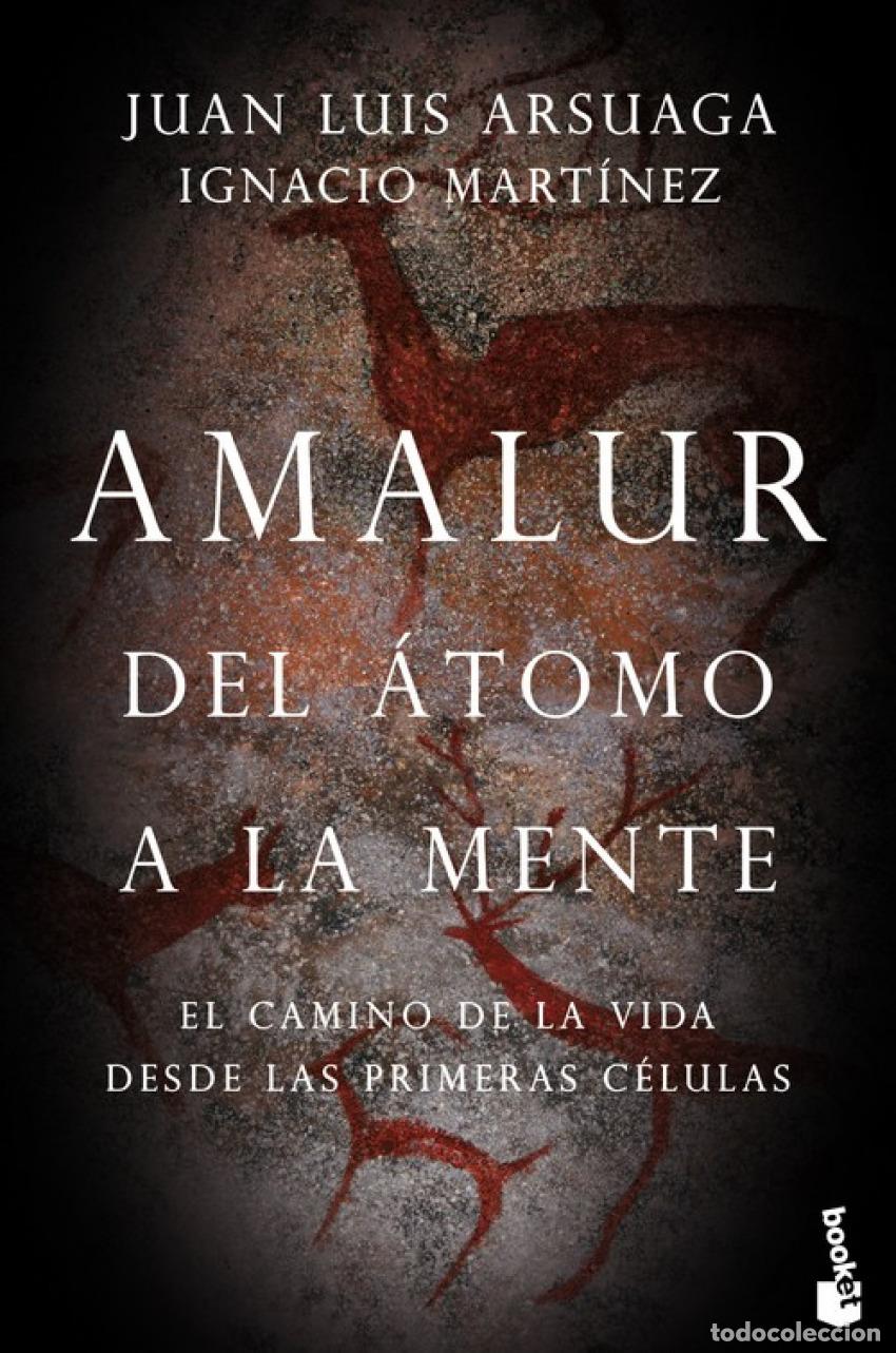 Libros: AMALUR - Arsuaga, Juan Luis;Mart&iacute;nez, Ignacio - Foto 1