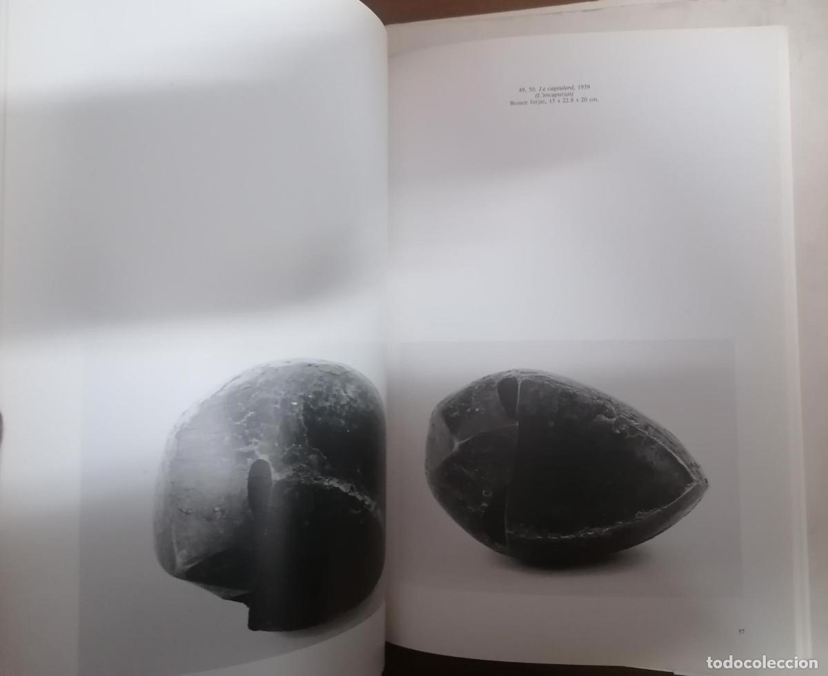 Libros: JULIO GONZ&Aacute;LEZ (Colecci&oacute;n De L IVAM) - Foto 3