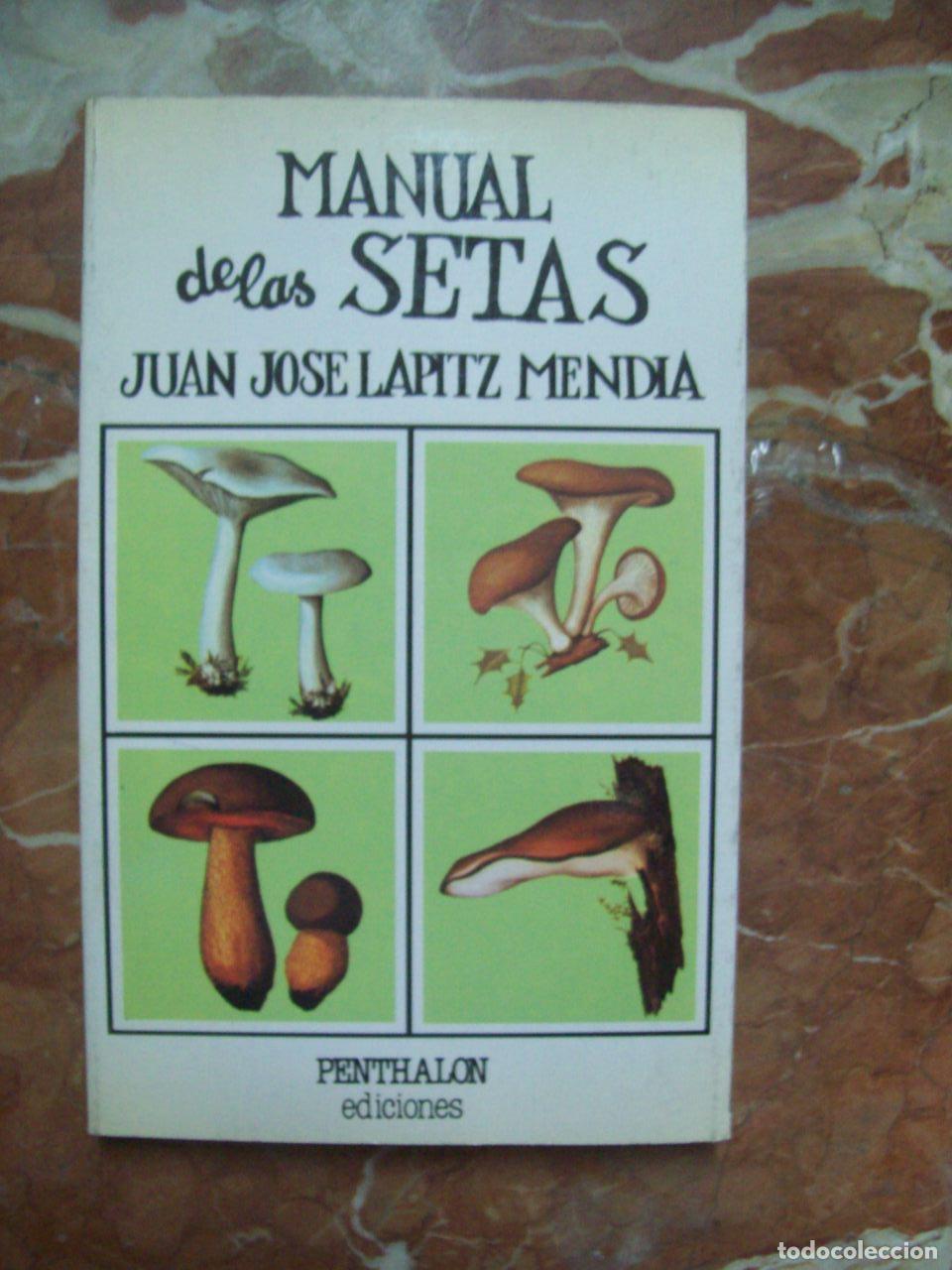 Libros: Lapitz Mend&iacute;a, Juan Jos&eacute; - MANUAL DE LAS SETAS - Foto 1