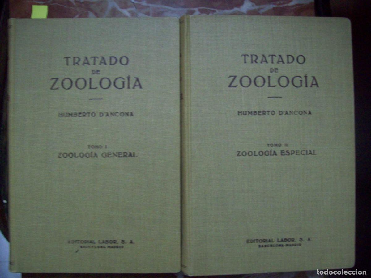 Libros: D Ancona, Humberto - TRATADO DE ZOOLOG&Iacute;A - Foto 1