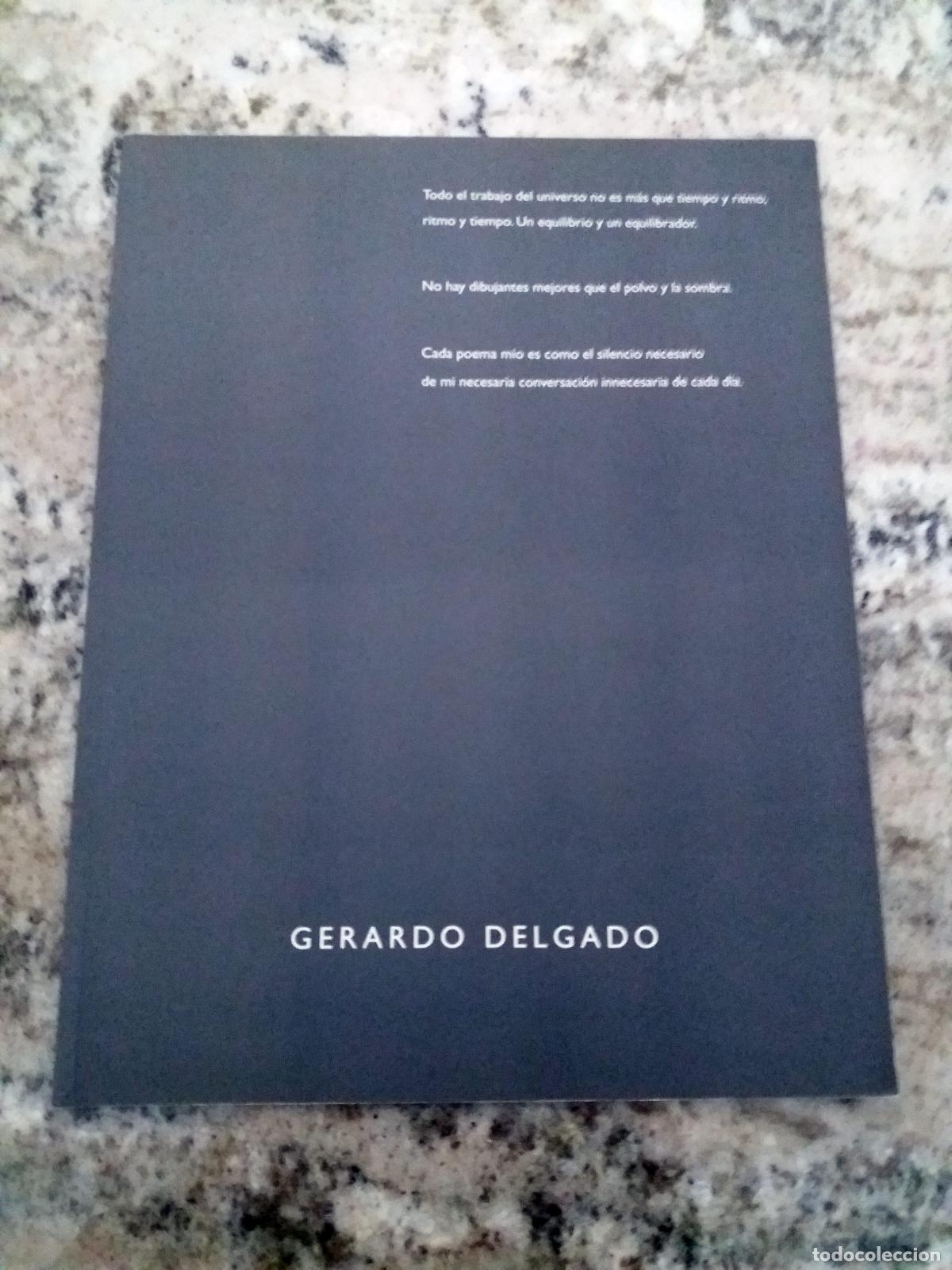 Libros: Gerardo Delgado - GERARDO DELGADO. Cat&aacute;logo exposici&oacute;n 2003 - Foto 1