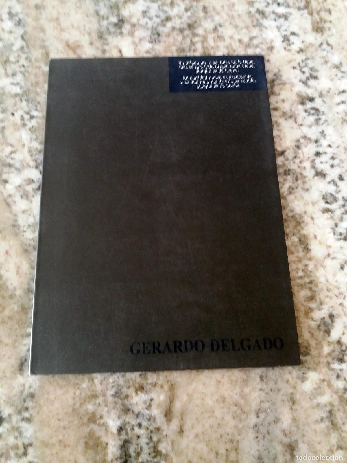 Libros: Gerardo Delgado - GERARDO DELGADO. Pinturas Recientes. Cat&aacute;logo - Foto 1