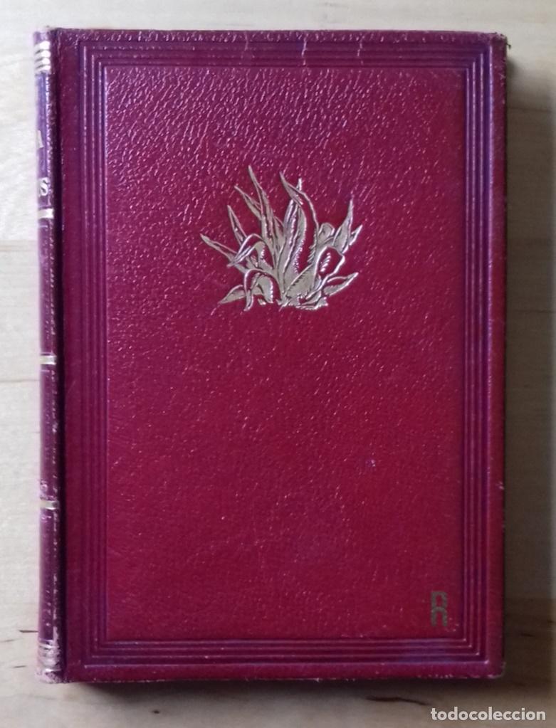 Libros: Eugeni dOrs - GUALBA, LA DE MIL VEUS - Foto 4
