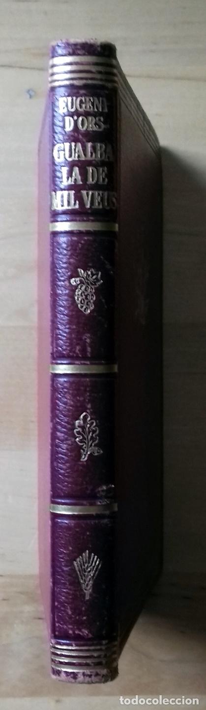 Libros: Eugeni dOrs - GUALBA, LA DE MIL VEUS - Foto 5