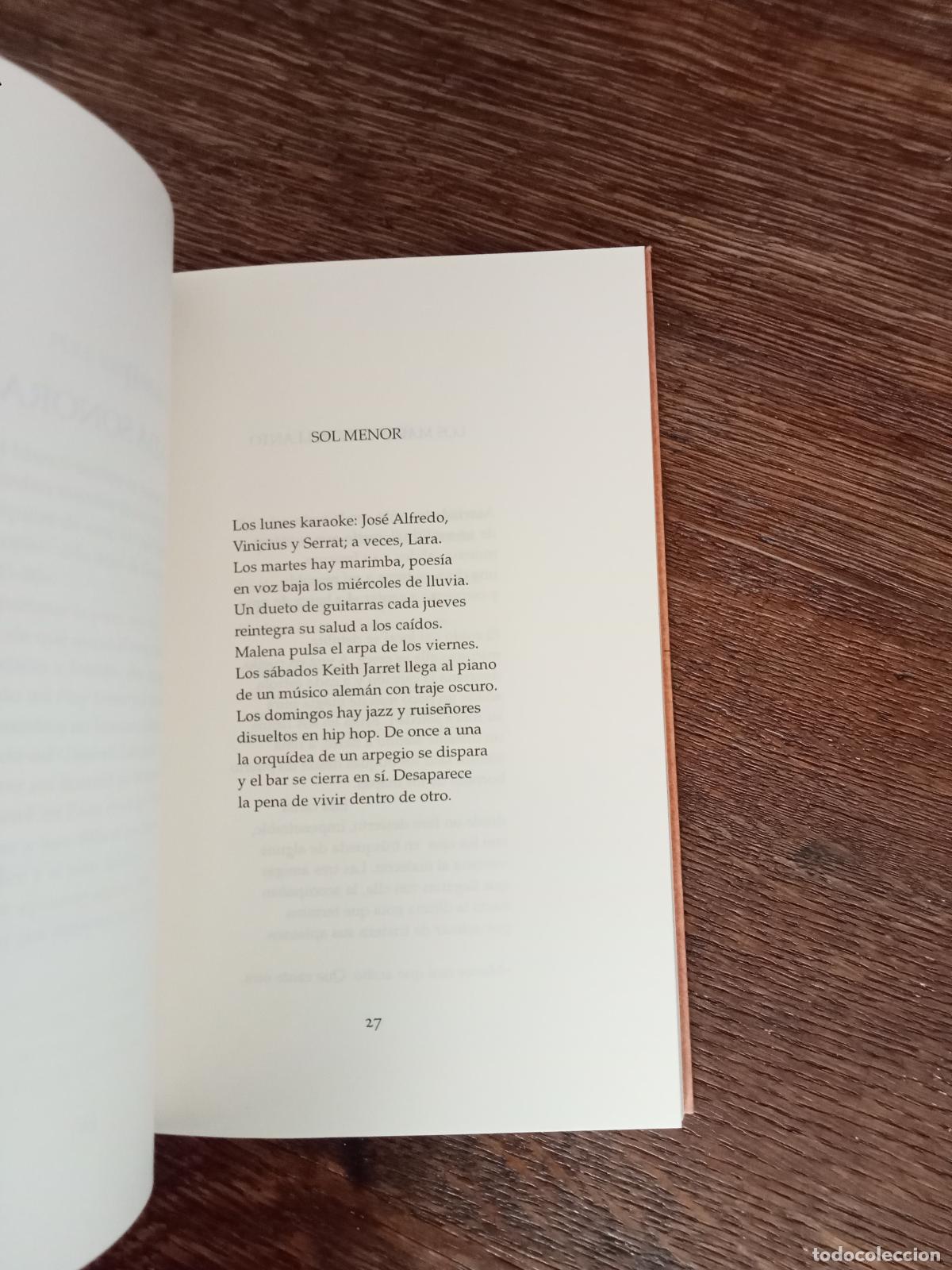Libros: Vald&eacute;s D&iacute;az-V&eacute;lez, Jorge - Los Alebrijes - Foto 2