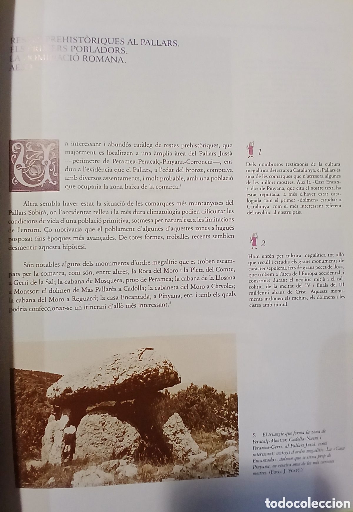 Libros: Els Palllars, Visi&oacute; Hist&ograve;rica - Foto 8