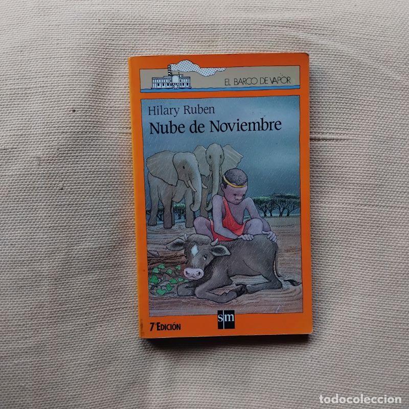 Libros: Nube de Noviembre - Hilary Ruben - Foto 1