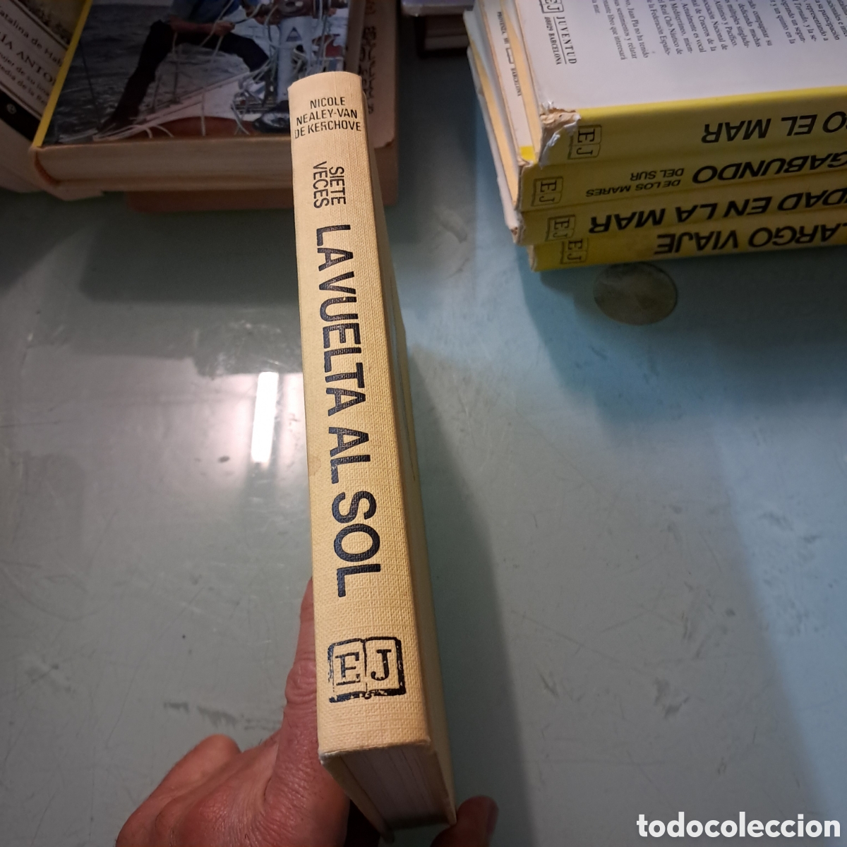 Libros: Siete veces la vuelta al sol, Nicole Nealey,Juventud - Foto 1
