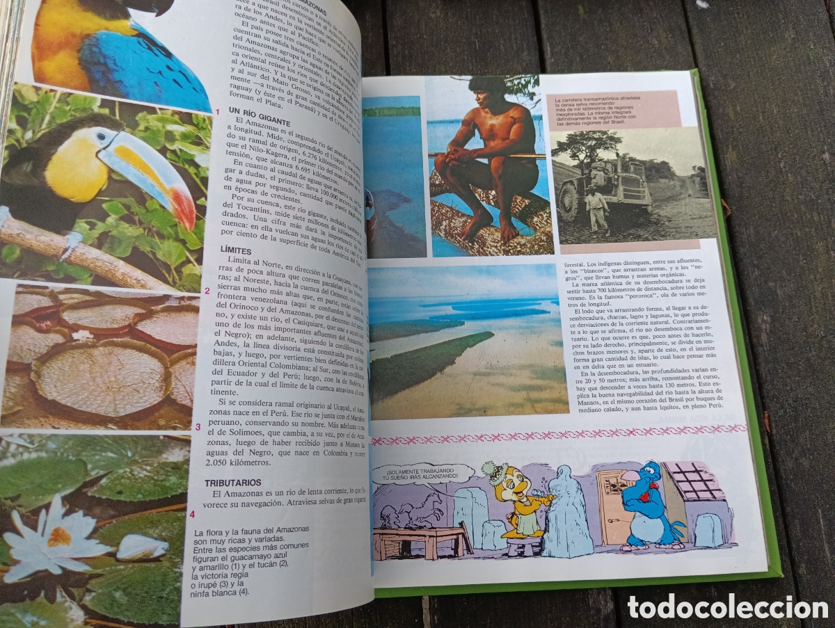 Libros: 4 TOMOS LIBRO GORDO DE PETETE. - Foto 12